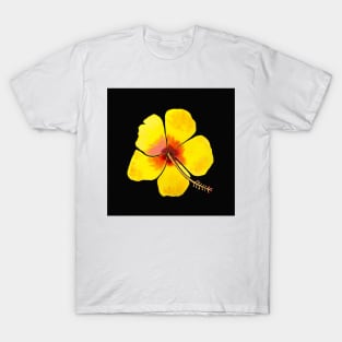 Yellow Hibiscus Flower with a black background T-Shirt